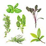 Herb leaf selection of basil, purple sage, common thyme, variegated sage, lavender and bay, over white background.