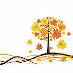 Tree autumn background, vector illustration