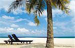 Concept photo of tropical beach with chair