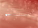 3d rendered close up of a sperm