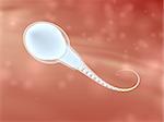3d rendered close up of a sperm