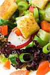 Healthy salad with croutons on a plate