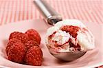 Fresh raspberries with ice cream on a plate