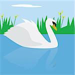 Illustration of a swan swimming on a lake