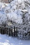 House yard fence and trees covered with heavy snow in winter Toronto