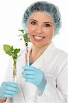 Scientist holds plants growing in test tubes