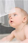 Cute  portrait of small boy with white curtain