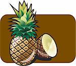 Vector color illustration of a delicious tropical pineapple.
