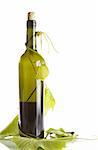 view of corked wine bottle with vine around it on white back