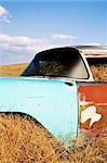 vintage car in late sun, abandoned in a field slowly being consumed by nature