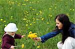 happy family on green meadow