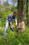 Young worker cutting old dead tree