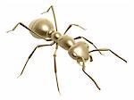 3d golden ant isolated on white background