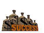 3d rendered illustration of some money sacks and the word success