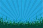 Vector - Grass with sun burst effect. Spring time.