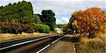 Country Road in Autumn