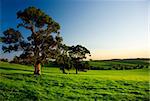 The sun sets over a beautiful rural landscape