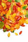 Colorful backround image of fallen autumn leaves with copy space perfect for seasonal use
