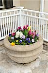 Stone planter with spring flowers on house patio