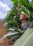 farmer peeking from a corn field