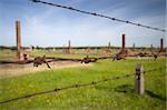 Barbed wire and chimney in background, Auschwitz Birkenau