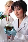 Two female chemists at work in the laboratory.