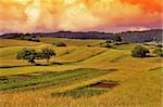 Grass Field Sunset Landscape