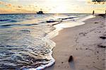 Tropical beach of a Caribbean island at sunrise
