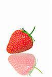Close-up  photo of nice red juicy strawberry isolated on white back