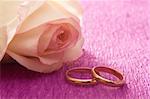 Rosebud and wedding rings on lilac corrugated paper