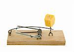 Mousetrap with cheese. The adaptation for catching mice and other fine rodents