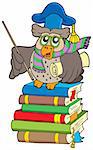 Owl teacher with parchment on books - vector illustration.