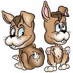 Two Rabbits - colored cartoon illustration as vector