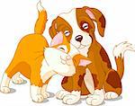 Brown dog and red cat love one anther