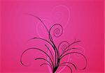 Flowers on pink background. vector