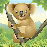 Vector illustration of a baby koala. If you like this illustration, check out our baby animal collection.    You can use any vector compatible software to open/modify/use the file. The different graphics are on separate layers so they can be easily edited individually. Scalable to any size without loss of quality.