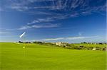 beautiful meadow with Green grass and blue sky