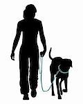 Dog training (Obedience): Command: Go at the leash!