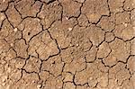 Dry brown soil texture