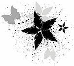 Vector grunge floral design element, black and white. Isolated on white, vector