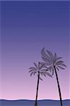 Vector - Illustration of palm trees by the beach during sunset or sunrise with blue hue skies