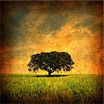 Grunge background with Lonely tree - square format