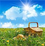 Summer picnic basket with straw hat in a field of dandelions