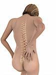 3d rendered illustration of a female body with backache