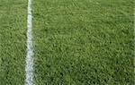 A closeup of a white line on a grass sports field.