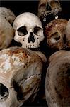 A pile of skulls from the Killing Fields in Phnom Penh, Cambodia.