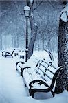 snow covered benches in the winter park