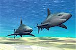 Two sharks on patrol over a sandy reef.