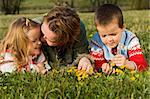 Woman and kids having fun relaxing on the spring meadow