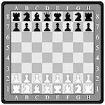Chess Board with Chess Figure. The vector file is in AI-EPS8 format
